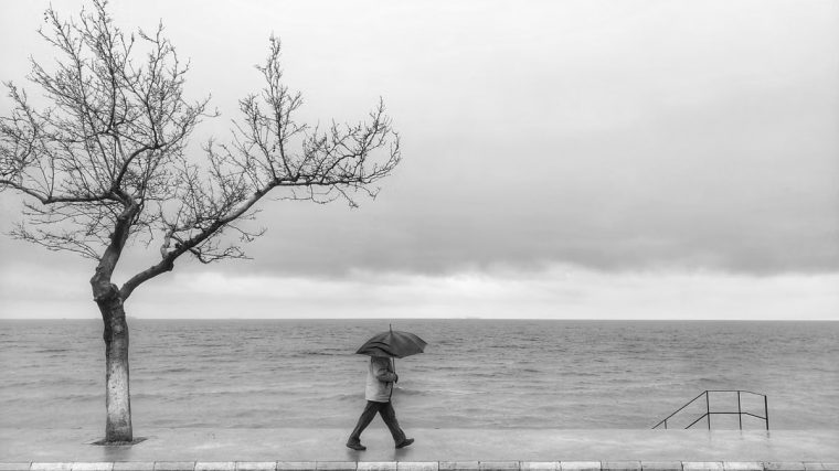 A solitary person with an umbrella walks along a seaside road in gloomy weather.